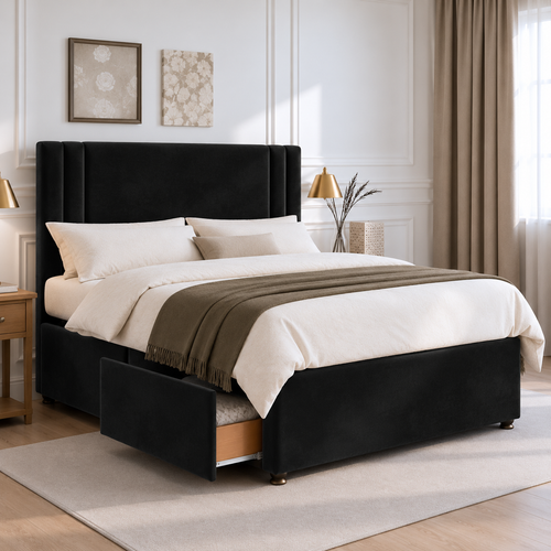 Black Plush Velvet
